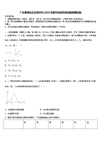 广东惠州光正实验学校2023年教学质量检测试题物理试题