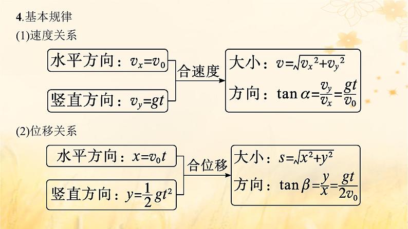 适用于新教材2024版高考物理一轮总复习第4章曲线运动万有引力与航天第2讲抛体运动课件第5页