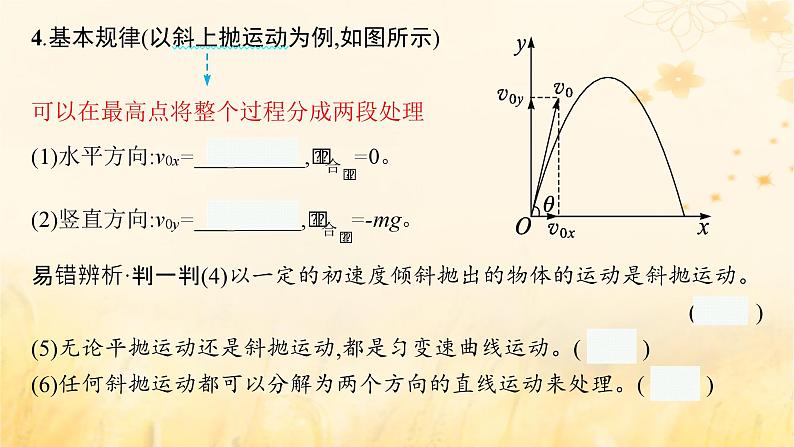 适用于新教材2024版高考物理一轮总复习第4章曲线运动万有引力与航天第2讲抛体运动课件第8页