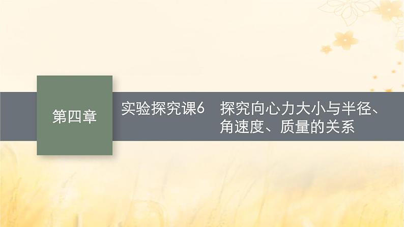 适用于新教材2024版高考物理一轮总复习第4章曲线运动万有引力与航天实验探究课6探究向心力大小与半径角速度质量的关系课件01