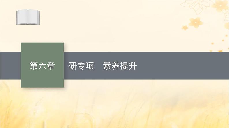 适用于新教材2024版高考物理一轮总复习第6章动量守恒定律研专项素养提升课件01