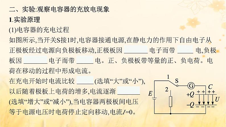 适用于新教材2024版高考物理一轮总复习第8章静电场第3讲电容器实验：观察电容器的充放电现象带电粒子在电场中的运动课件07