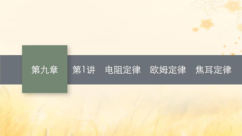 适用于新教材2024版高考物理一轮总复习第9章电路第1讲电阻定律欧姆定律焦耳定律课件01