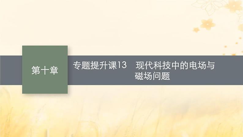 适用于新教材2024版高考物理一轮总复习第10章磁场专题提升课13现代科技中的电场与磁场问题课件第1页