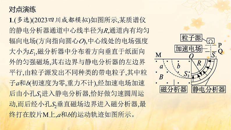 适用于新教材2024版高考物理一轮总复习第10章磁场专题提升课13现代科技中的电场与磁场问题课件第6页