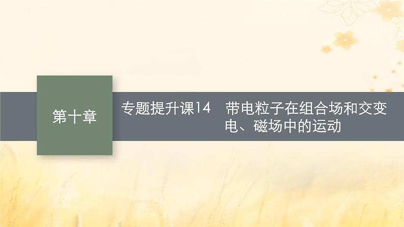 适用于新教材2024版高考物理一轮总复习第10章磁场专题提升课14带电粒子在组合场和交变电磁场中的运动课件第1页