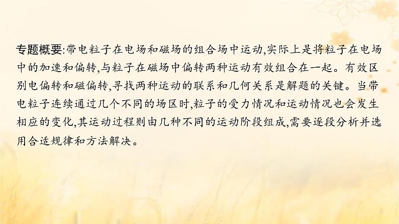 适用于新教材2024版高考物理一轮总复习第10章磁场专题提升课14带电粒子在组合场和交变电磁场中的运动课件第2页