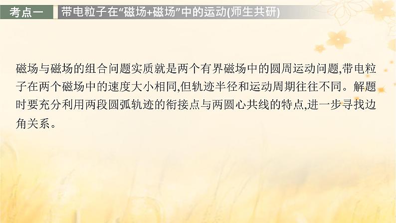 适用于新教材2024版高考物理一轮总复习第10章磁场专题提升课14带电粒子在组合场和交变电磁场中的运动课件第3页