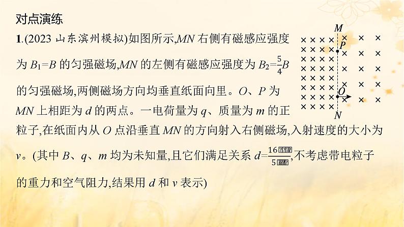 适用于新教材2024版高考物理一轮总复习第10章磁场专题提升课14带电粒子在组合场和交变电磁场中的运动课件第8页