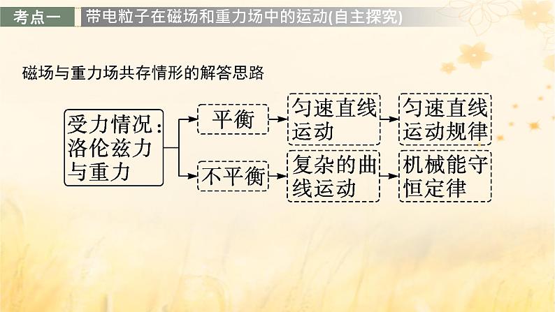 适用于新教材2024版高考物理一轮总复习第10章磁场专题提升课15带电粒子在叠加场中的运动课件第3页