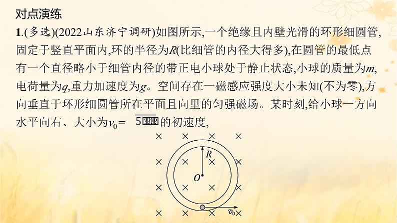 适用于新教材2024版高考物理一轮总复习第10章磁场专题提升课15带电粒子在叠加场中的运动课件第4页