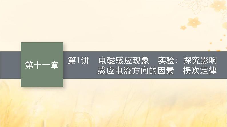 适用于新教材2024版高考物理一轮总复习第11章电磁感应第1讲电磁感应现象实验：探究影响感应电流方向的因素楞次定律课件01