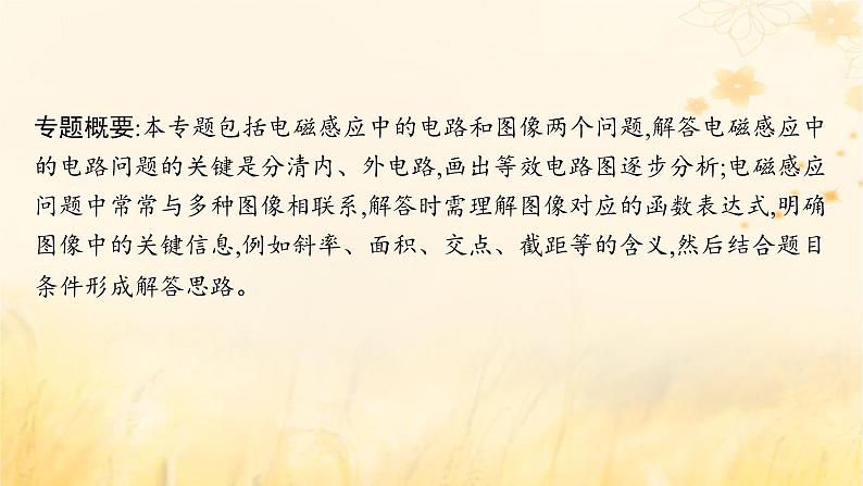 适用于新教材2024版高考物理一轮总复习第11章电磁感应专题提升课16电磁感应中的电路和图像问题课件02