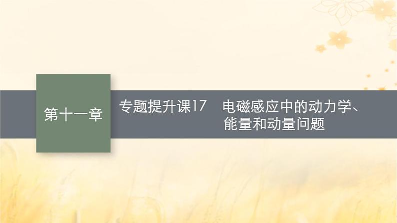 适用于新教材2024版高考物理一轮总复习第11章电磁感应专题提升课17电磁感应中的动力学能量和动量问题课件第1页