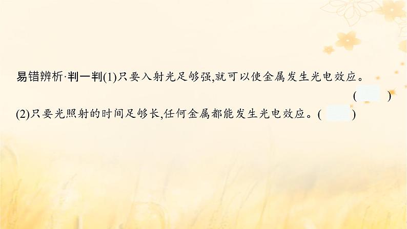 适用于新教材2024版高考物理一轮总复习第15章近代物理第1讲光电效应波粒二象性课件07