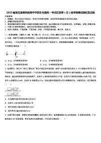 2023届湖北省黄冈高级中学招生全国统一考试仿真卷（五）-高考物理试题仿真试题