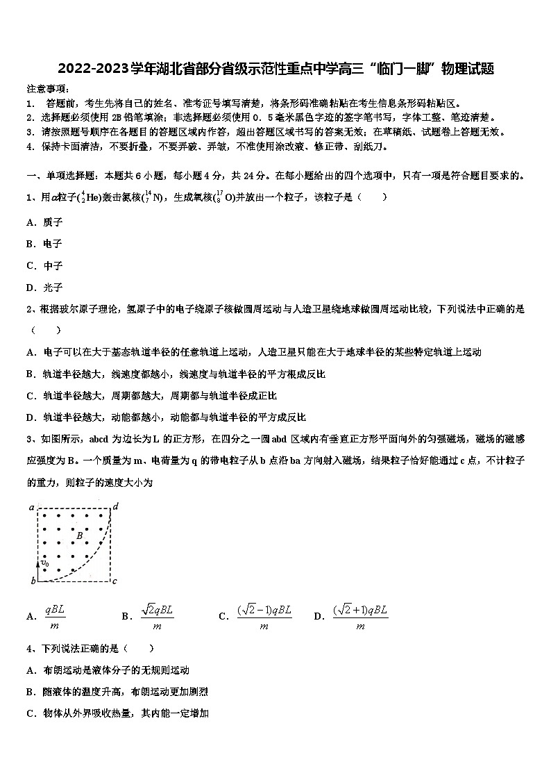 2022-2023学年湖北省部分省级示范性重点中学高三“临门一脚”物理试题第1页