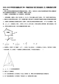 2022-2023学年四川省眉山市仁寿南校区高三复习质量监测（五）物理试题文试卷