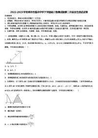 2022-2023学年潍坊市重点中学下学期高三物理试题第二次适应性测试试卷