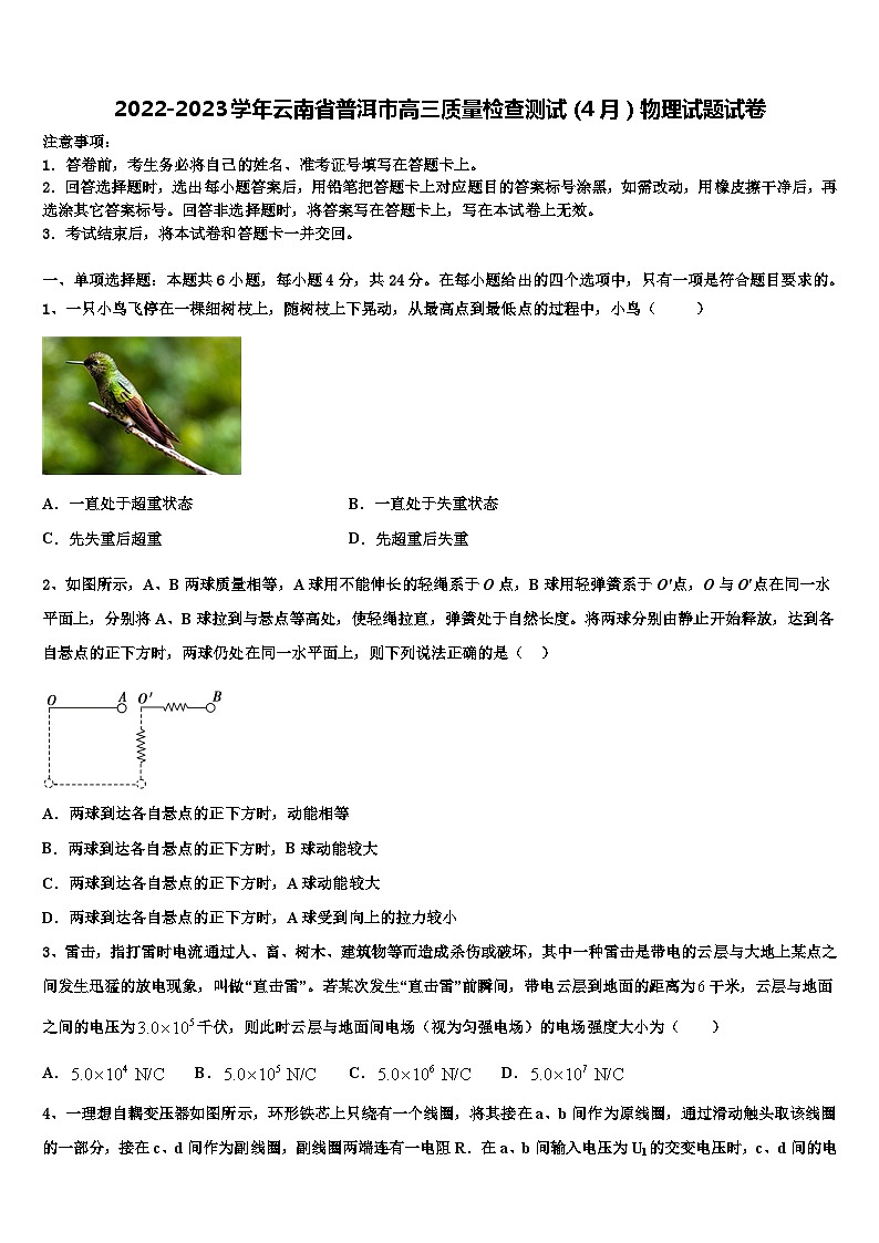 2022-2023学年云南省普洱市高三质量检查测试（4月）物理试题试卷第1页