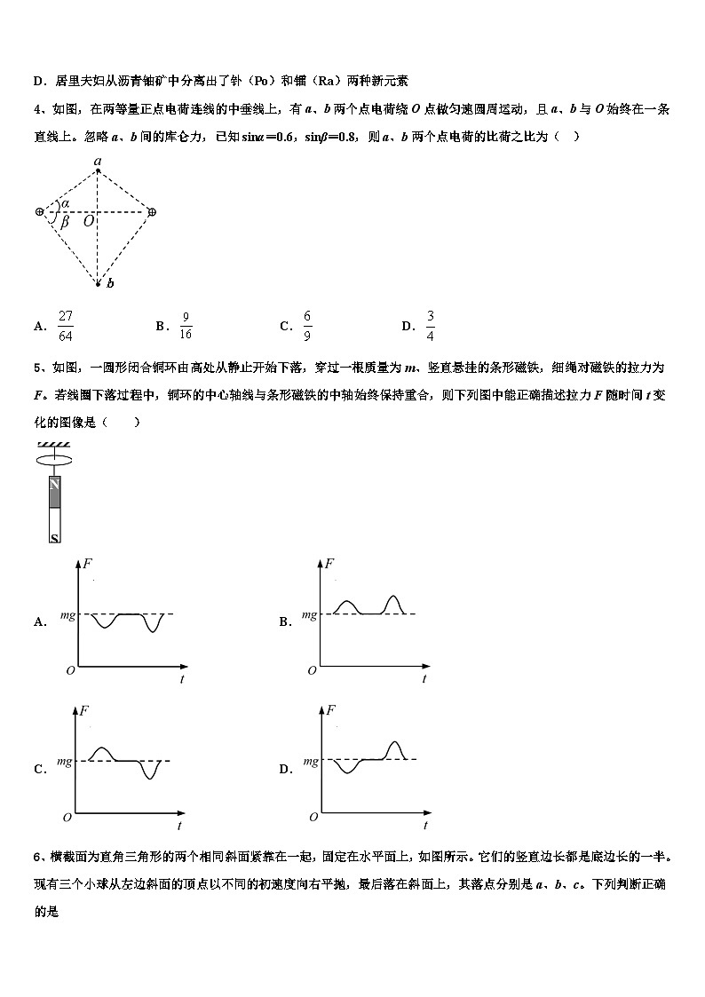 2023届北京市朝阳区人大附中高三3月联考物理试题文试卷第2页