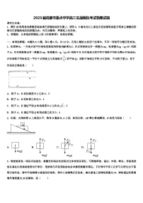 2023届成都市重点中学高三实战模拟考试物理试题