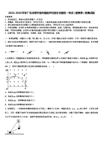 2022-2023学年广东深圳平湖外国语学校招生全国统一考试（猜想卷）物理试题