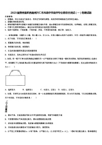 2023届贵州省黔西南州兴仁市凤凰中学高中毕业班综合测试物理试题