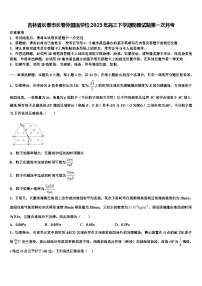 吉林省长春市长春外国语学校2023年高三下学期物理试题第一次月考