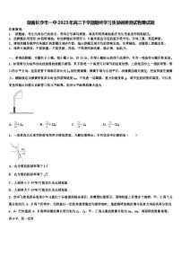 湖南长沙市2023年高三下学期期终学习质量调研测试物理试题