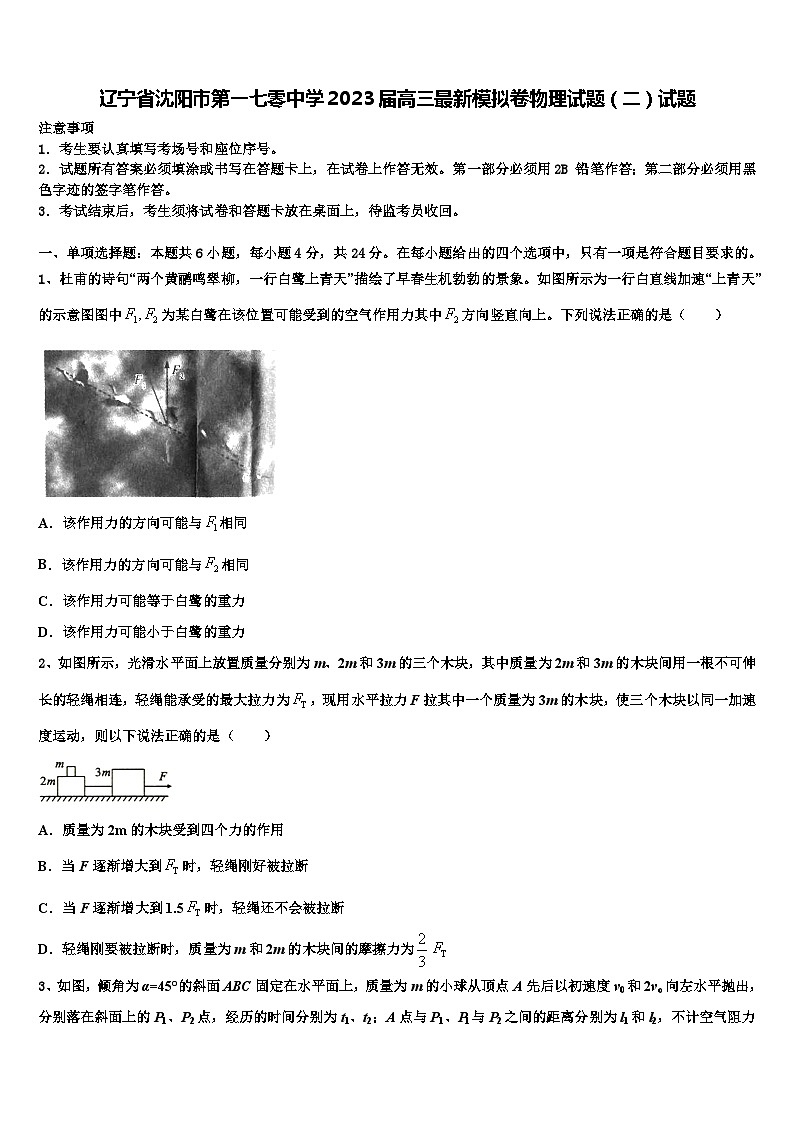 辽宁省沈阳市第一七零中学2023届高三最新模拟卷物理试题试题第1页
