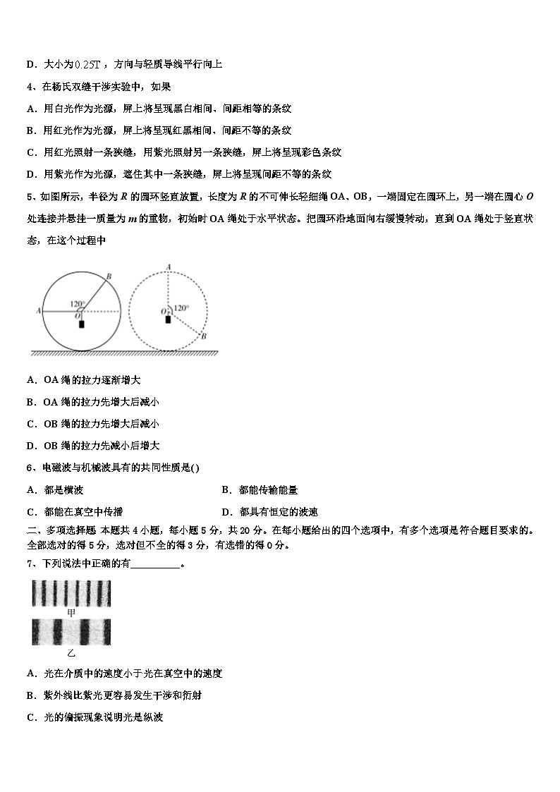 山东省平阴县2023年高三第一次模拟物理试题试卷第2页