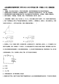 山东省泰安市新泰市2022-2023学年高三第一次模拟（5月）物理试题