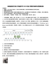 陕西省西安交通大学附属中学2023年高三第四次调研考试物理试题