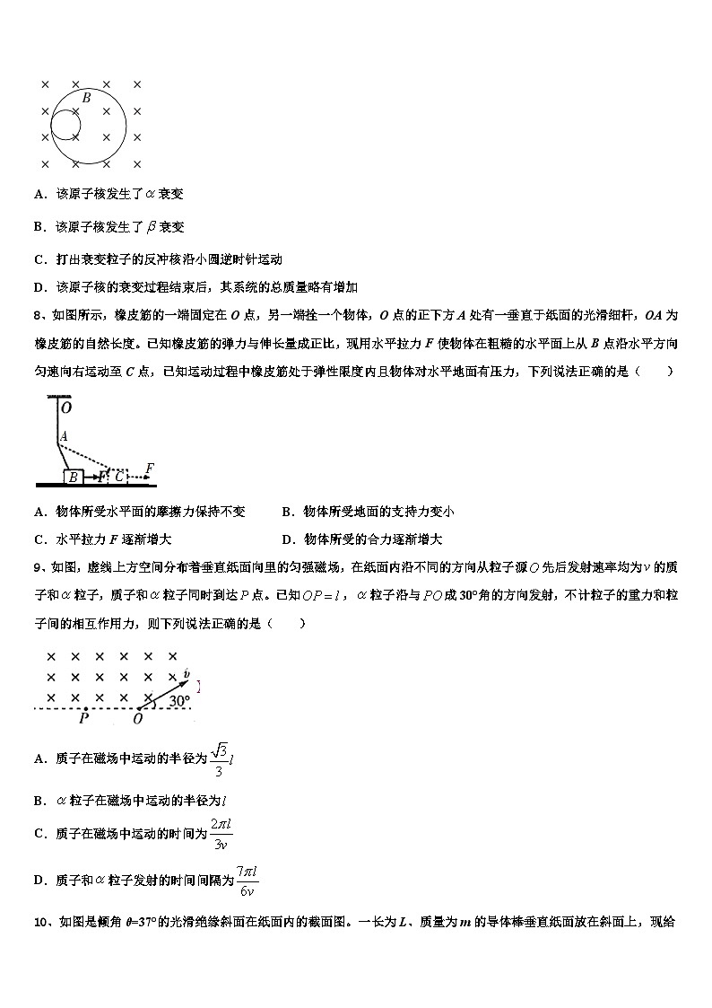 四川省绿然国际学校2023年高三下学期第一次联考物理试题试卷第3页