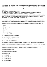 山西省临汾、翼城中学2022-2023学年高三下学期第三次模拟考试（期中）物理试题