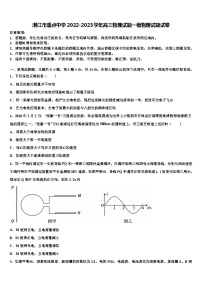 湛江市重点中学2022-2023学年高三物理试题一模物理试题试卷