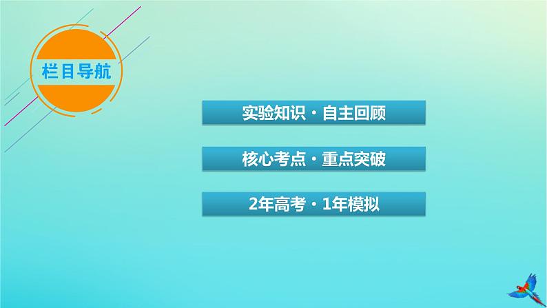 新教材适用2024版高考物理一轮总复习第1章运动的描述匀变速直线运动实验1测量做直线运动物体的瞬时速度课件03