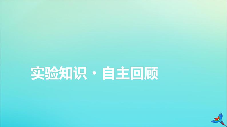 新教材适用2024版高考物理一轮总复习第1章运动的描述匀变速直线运动实验1测量做直线运动物体的瞬时速度课件04