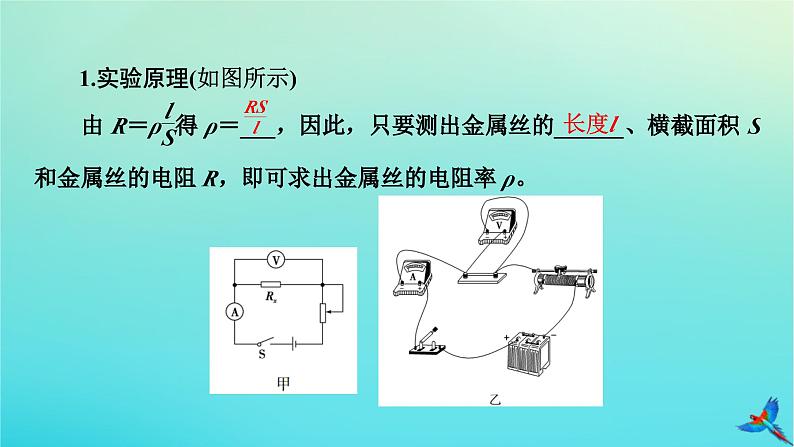 新教材适用2024版高考物理一轮总复习第9章恒定电流实验12测量金属丝的电阻率课件第5页