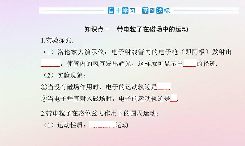 新教材2023高中物理第一章磁场第四节洛伦兹力与现代技术课件粤教版选择性必修第二册03