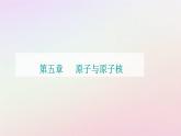 新教材2023高中物理第五章原子与原子核第二节放射性元素的衰变课件粤教版选择性必修第三册