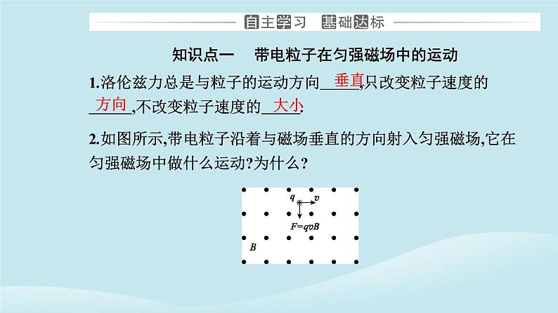 新教材2023高中物理第一章安培力与洛伦兹力1.3带电粒子在匀强磁场中的运动课件新人教版选择性必修第二册第3页