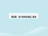 新教材2023高中物理第四章原子结构和波粒二象性4.5粒子的波动性和量子力学的建立课件新人教版选择性必修第三册