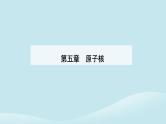 新教材2023高中物理第五章原子核5.4核裂变与核聚变5.5“基本”粒子课件新人教版选择性必修第三册