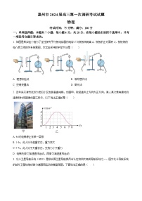 广东省惠州市2024届高三上学期第一次调研考试（高二下学期期末）物理试卷及答案