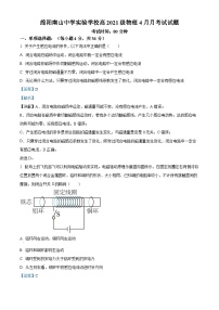 四川省绵阳市南山中学实验学校2022-2023学年高二下学期4月月考物理试题（解析版）