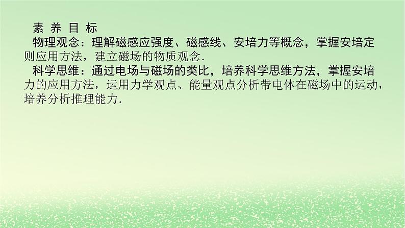 2024版新教材高考物理全程一轮总复习第十一章磁场安培力与洛伦兹力第1讲磁场及其对电流的作用课件03