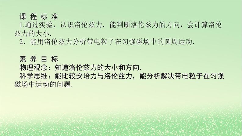 2024版新教材高考物理全程一轮总复习第十一章磁场安培力与洛伦兹力第2讲磁吃运动电荷的作用课件02