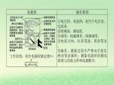 2024版新教材高考物理全程一轮总复习第十章电路及其应用电能实验十四用多用电表测量电学中的物理量课件